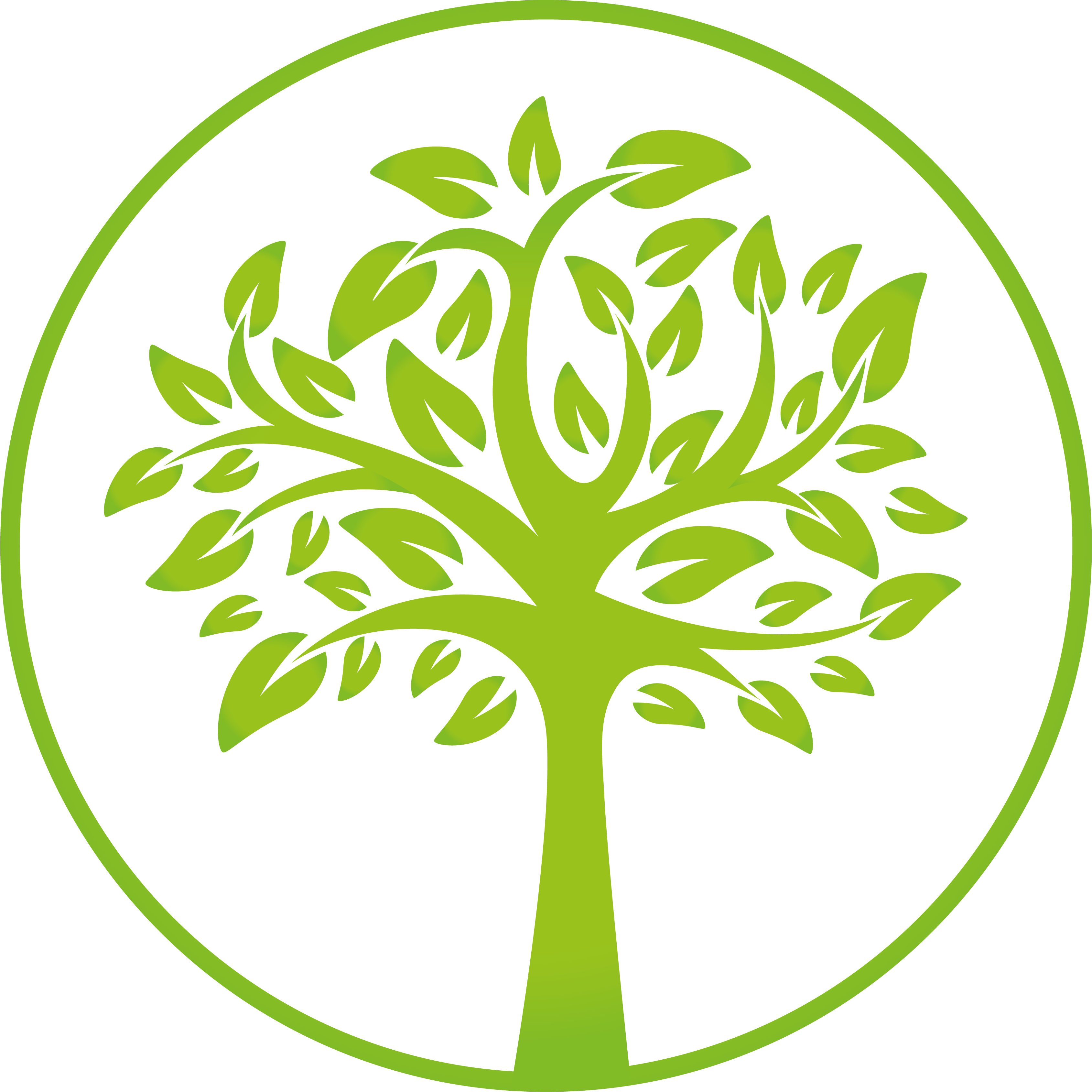 TeamTrees.org